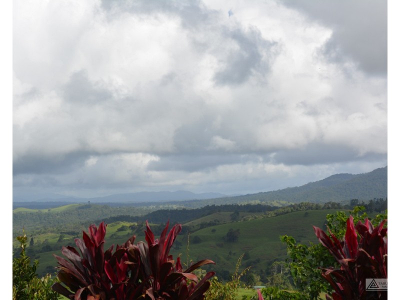 Millaa Millaa QLD 4886