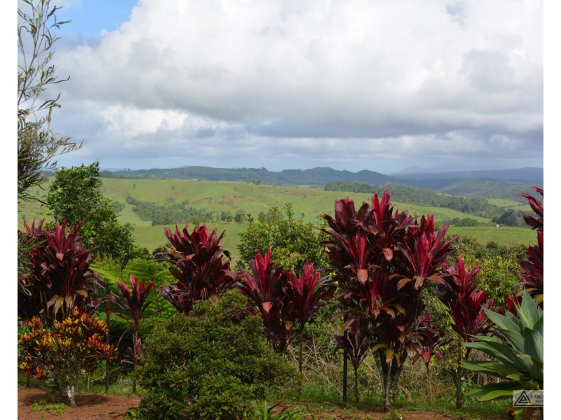 Millaa Millaa QLD 4886