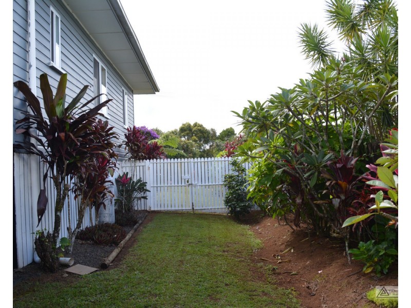 Millaa Millaa QLD 4886