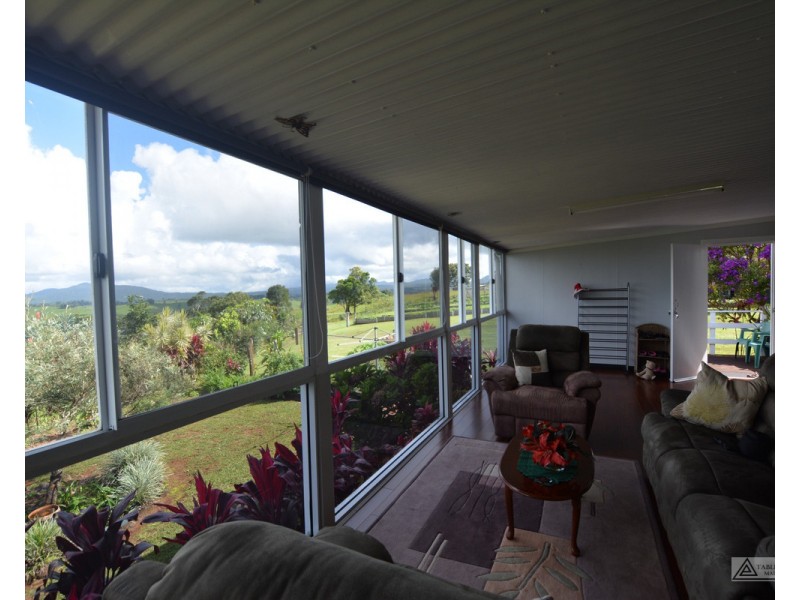 Millaa Millaa QLD 4886