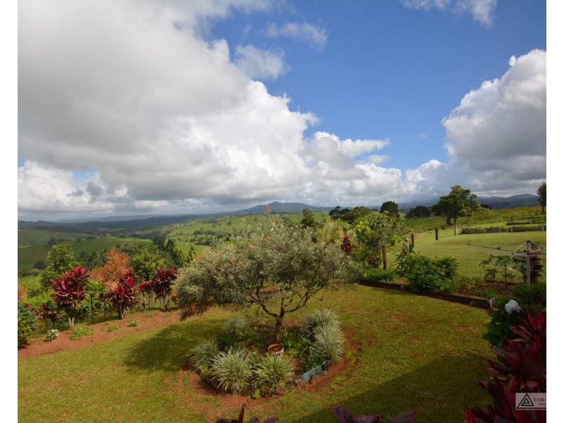 Millaa Millaa QLD 4886