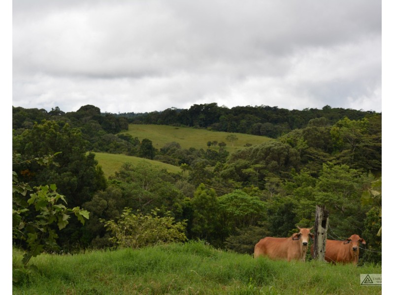 Topaz QLD 4885
