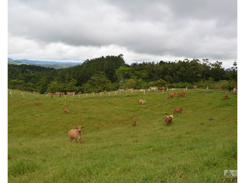 Topaz QLD 4885