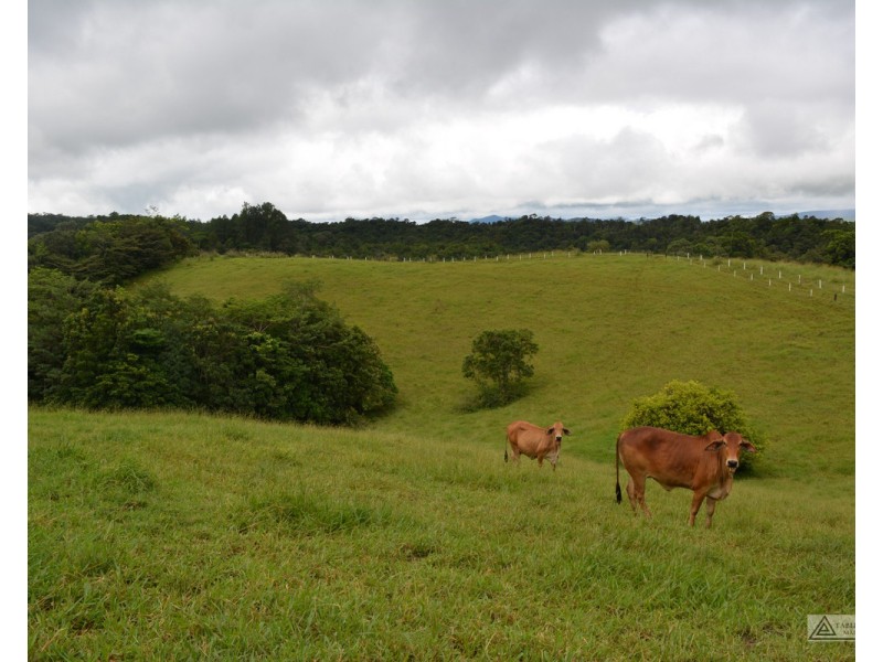 Topaz QLD 4885