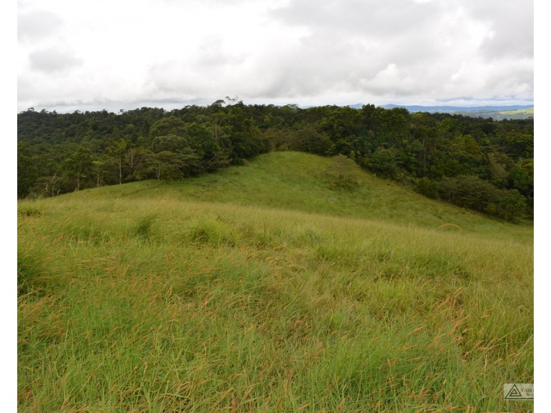 Topaz QLD 4885