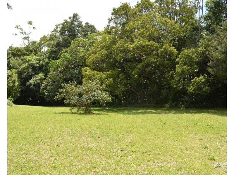 Millaa Millaa QLD 4886