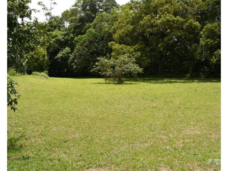 Millaa Millaa QLD 4886