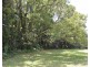 Millaa Millaa QLD 4886
