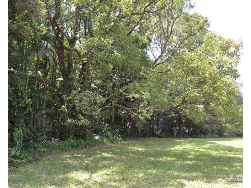 Millaa Millaa QLD 4886