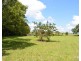 Millaa Millaa QLD 4886