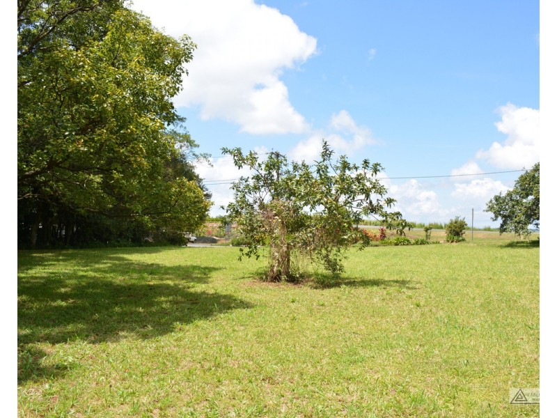 Millaa Millaa QLD 4886