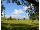 Millaa Millaa QLD 4886