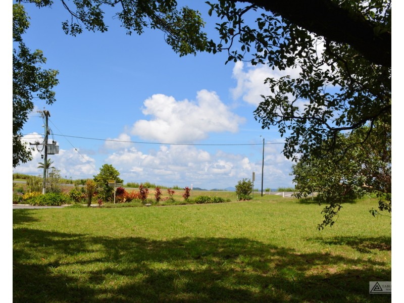 Millaa Millaa QLD 4886