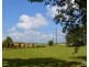 Millaa Millaa QLD 4886