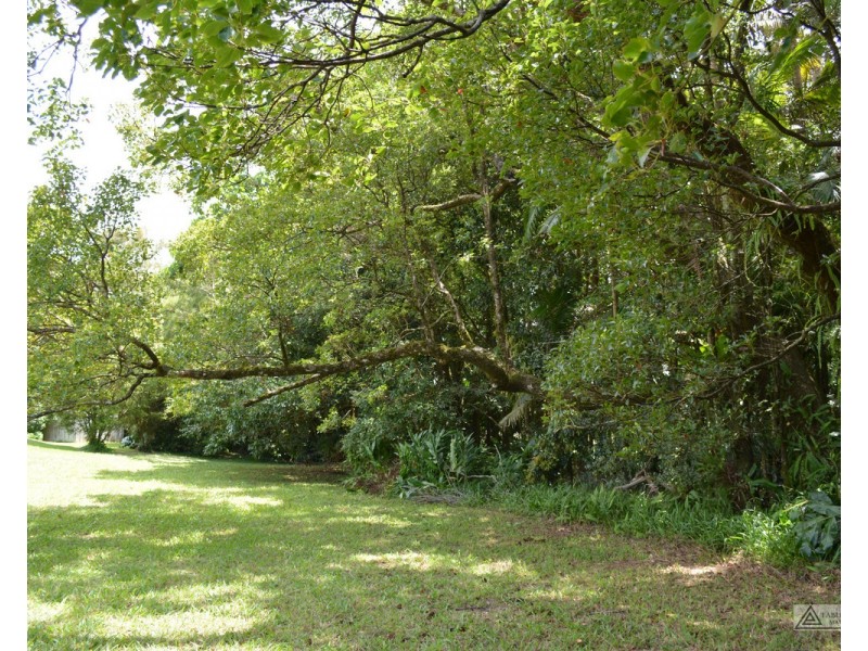 Millaa Millaa QLD 4886