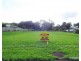 L1777  13 & 15 Charles Street, Malanda QLD 4885