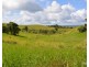 Millaa Millaa QLD 4886