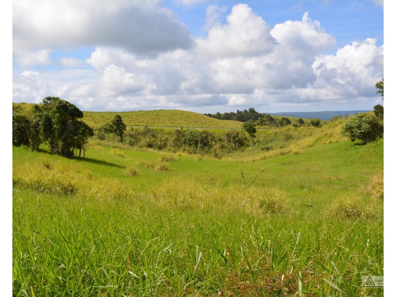 Millaa Millaa QLD 4886