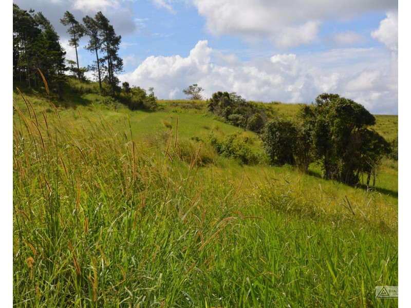 Millaa Millaa QLD 4886