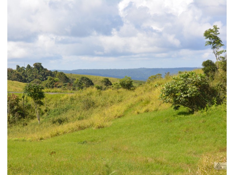 Millaa Millaa QLD 4886