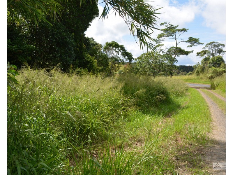 Millaa Millaa QLD 4886