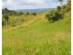 Millaa Millaa QLD 4886