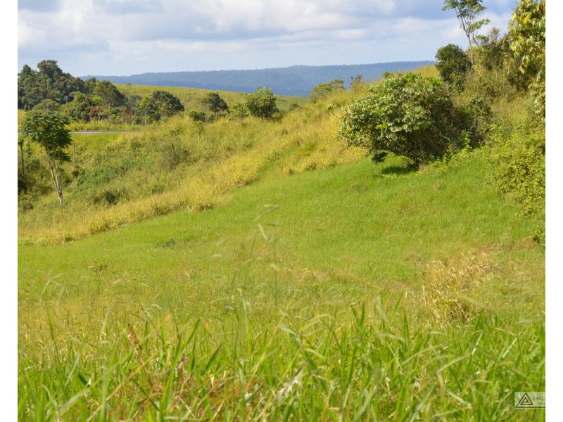 Millaa Millaa QLD 4886