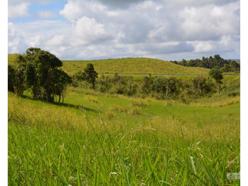 Millaa Millaa QLD 4886