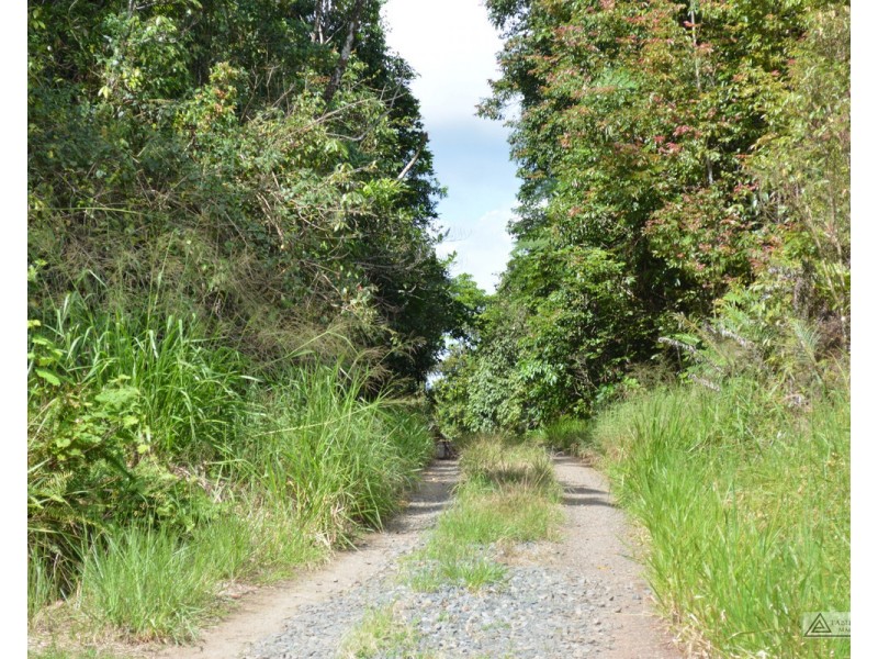 Millaa Millaa QLD 4886