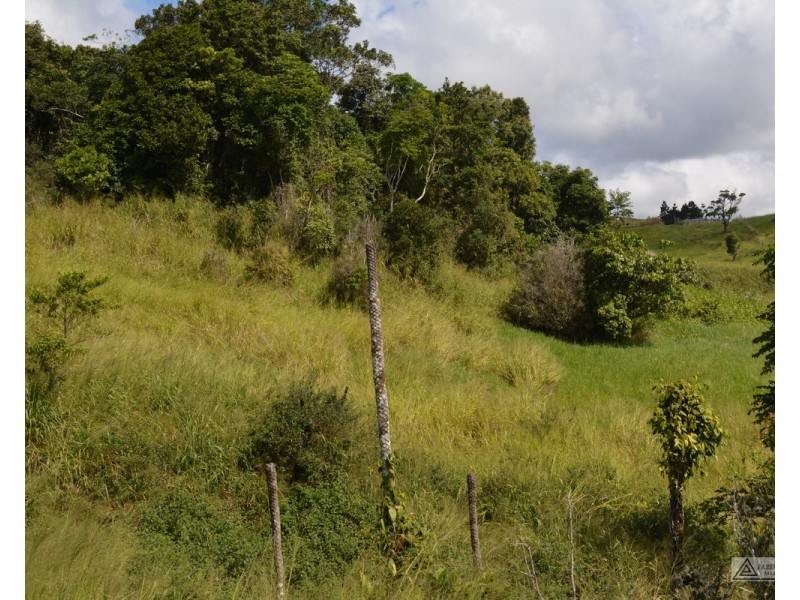 Millaa Millaa QLD 4886