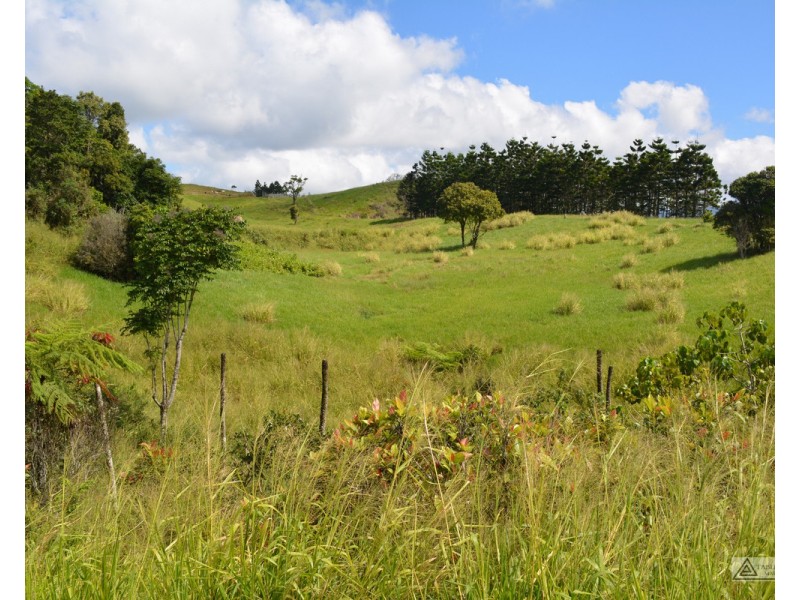 Millaa Millaa QLD 4886