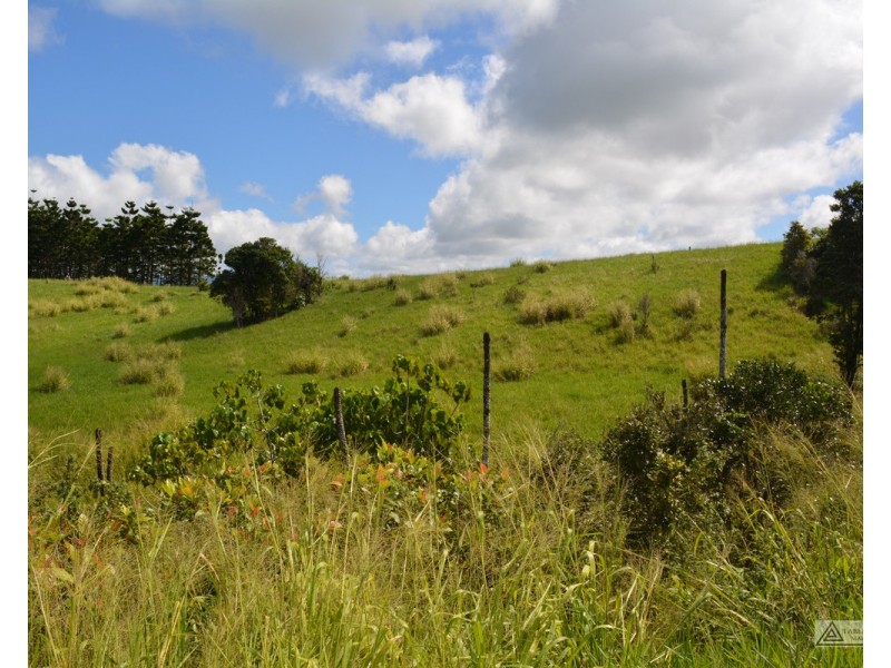 Millaa Millaa QLD 4886