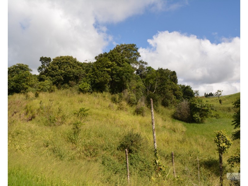 Millaa Millaa QLD 4886