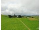 Tarzali QLD 4885