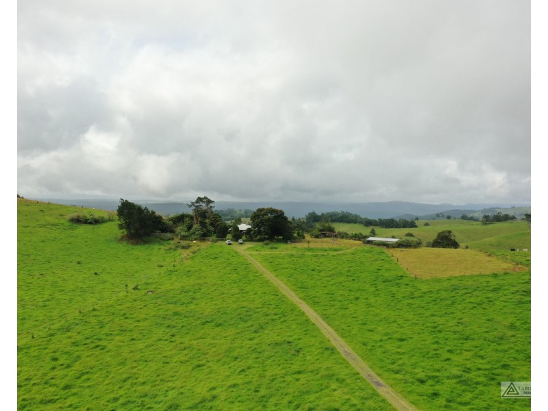 Tarzali QLD 4885