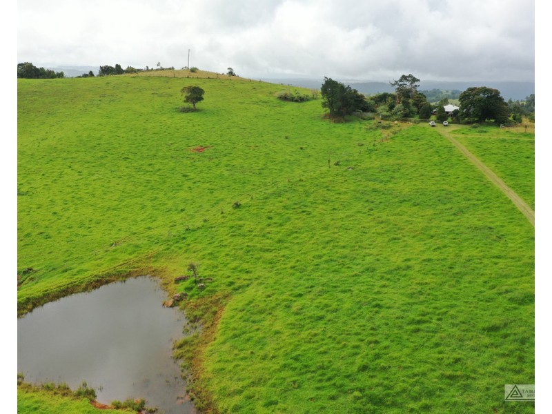 Tarzali QLD 4885