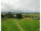 Tarzali QLD 4885