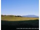 Tarzali QLD 4885