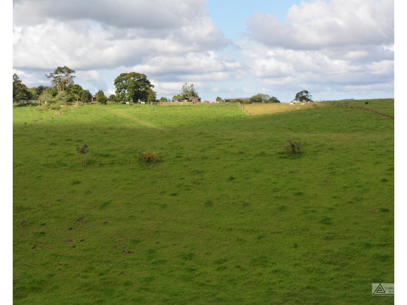 Tarzali QLD 4885