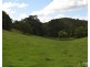 Tarzali QLD 4885
