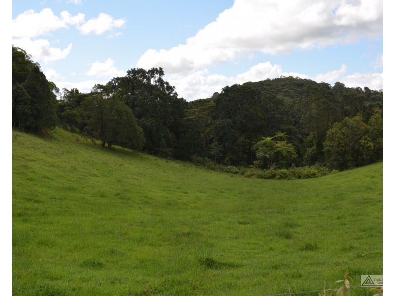 Tarzali QLD 4885