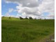 Tarzali QLD 4885