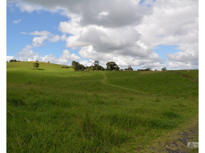 Tarzali QLD 4885