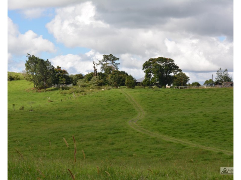 Tarzali QLD 4885