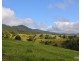 Millaa Millaa QLD 4886