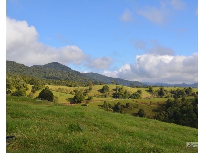 Millaa Millaa QLD 4886