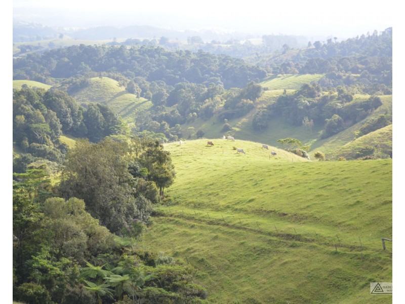 Millaa Millaa QLD 4886