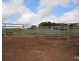 Millaa Millaa QLD 4886