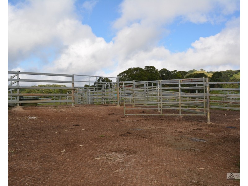 Millaa Millaa QLD 4886