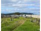 Millaa Millaa QLD 4886